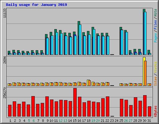 Daily usage for January 2019