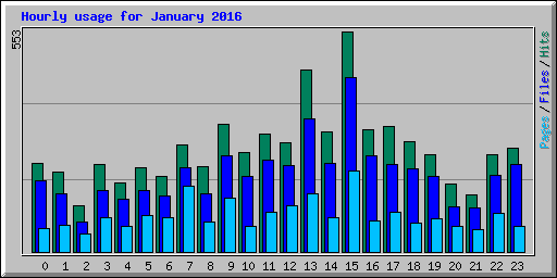 Hourly usage for January 2016