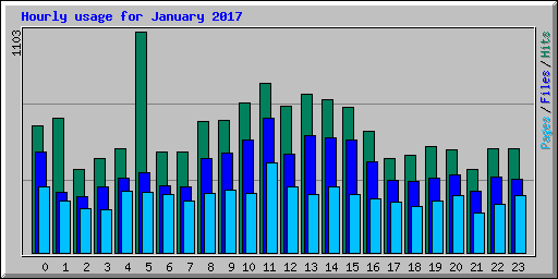 Hourly usage for January 2017