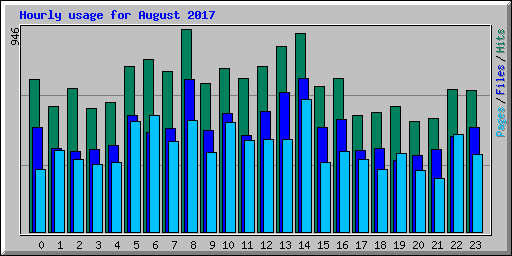 Hourly usage for August 2017