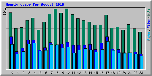 Hourly usage for August 2018