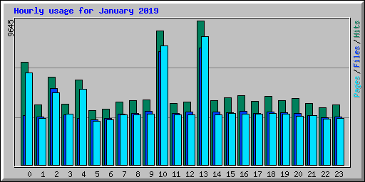 Hourly usage for January 2019