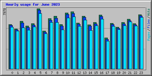 Hourly usage for June 2023