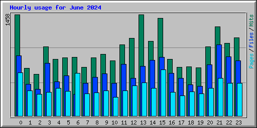 Hourly usage for June 2024