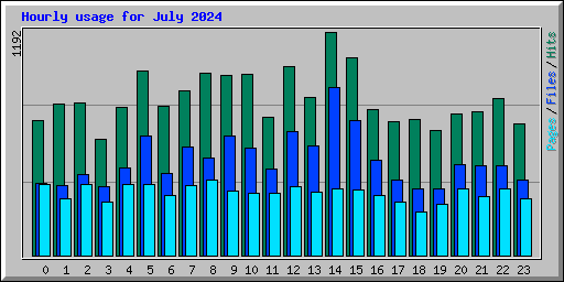 Hourly usage for July 2024