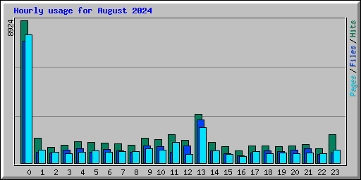 Hourly usage for August 2024