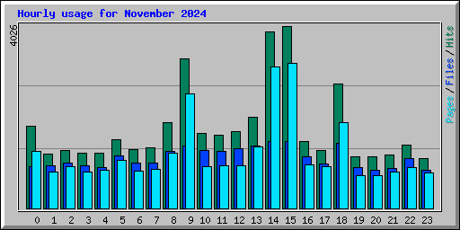 Hourly usage for November 2024