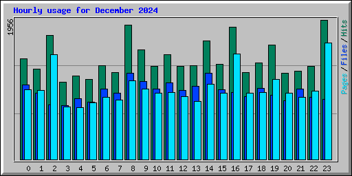 Hourly usage for December 2024