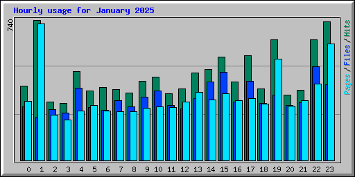 Hourly usage for January 2025