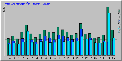 Hourly usage for March 2025